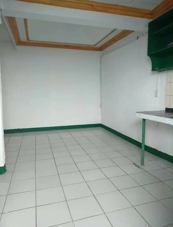 Gallery 3