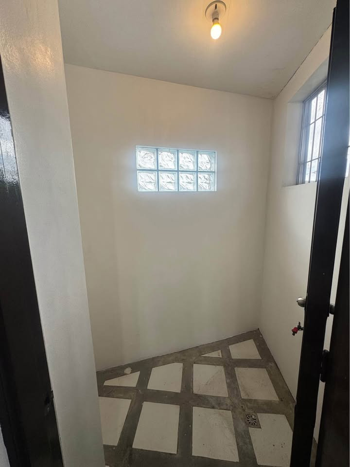 Gallery 5