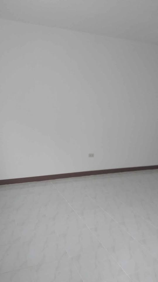 Gallery 5