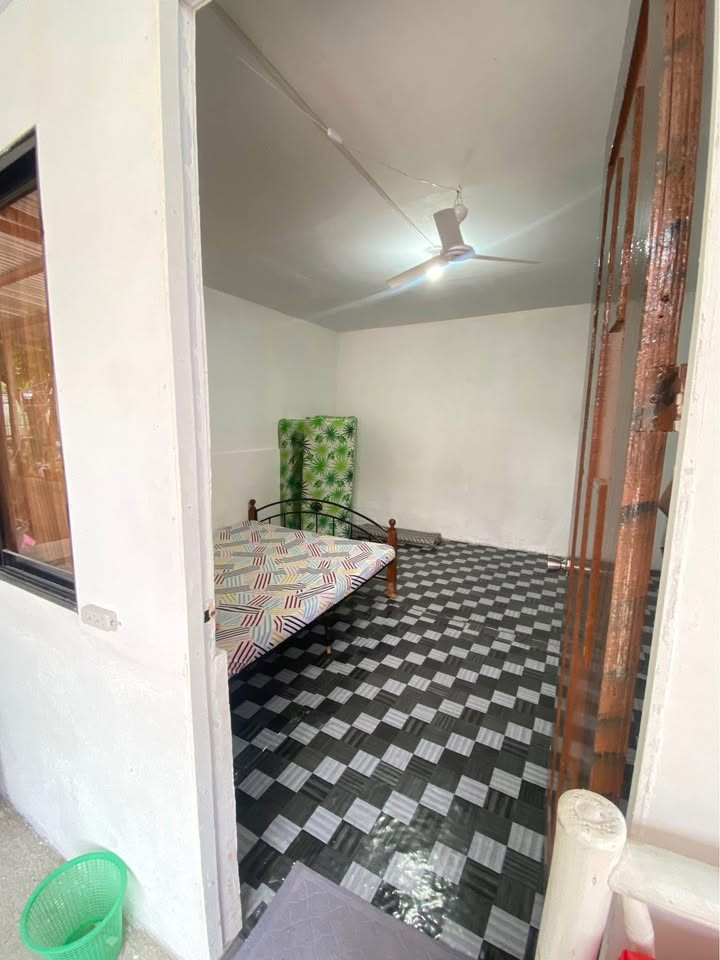 Gallery 3
