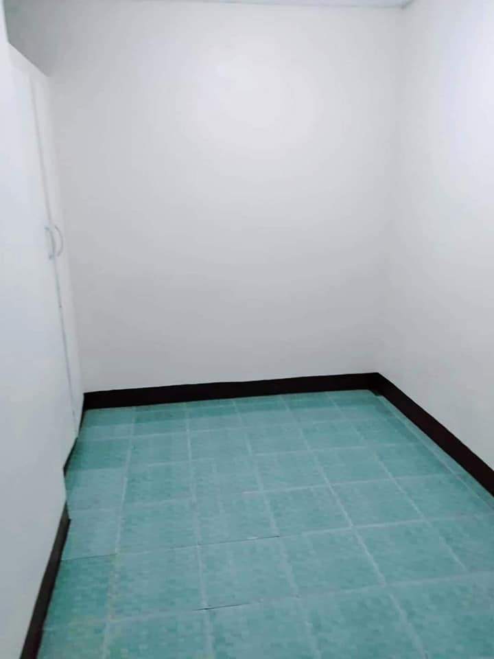 Gallery 3