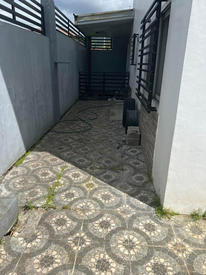 Gallery 3