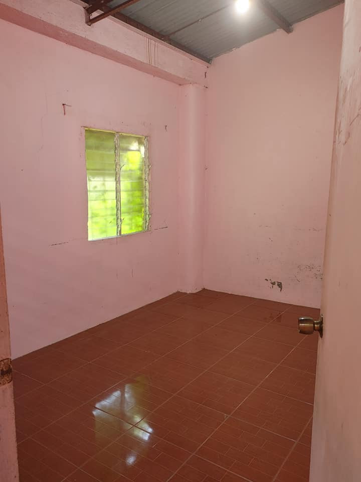 Gallery 3