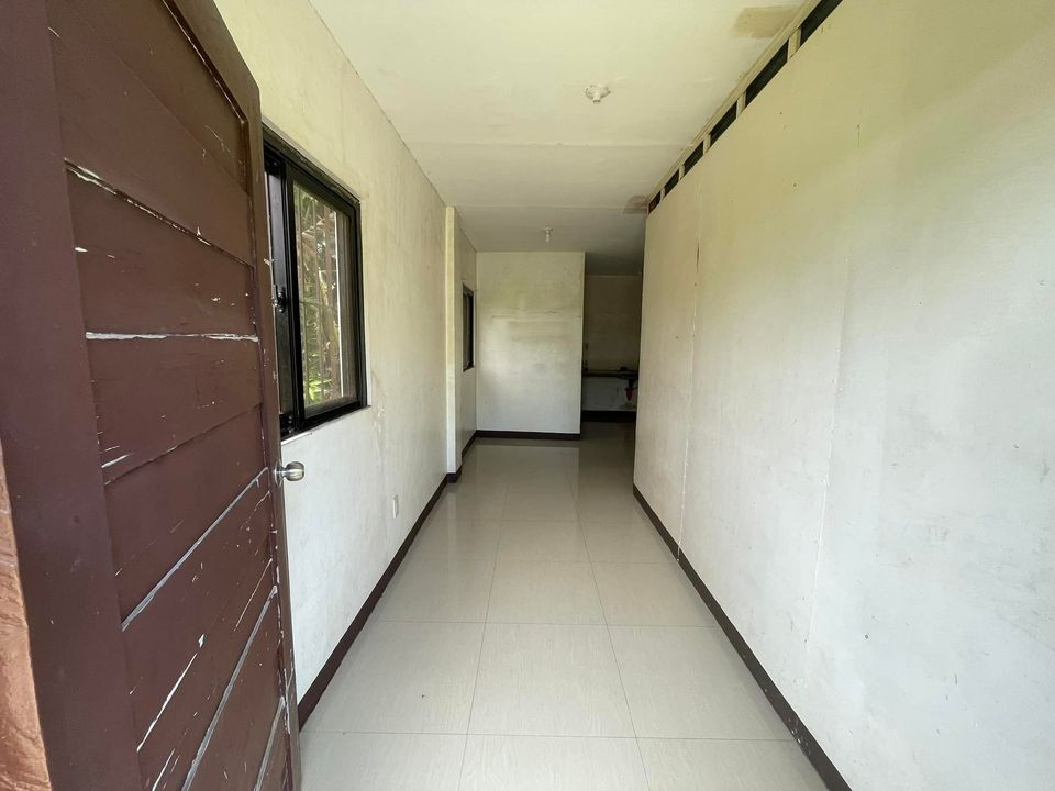 Gallery 3