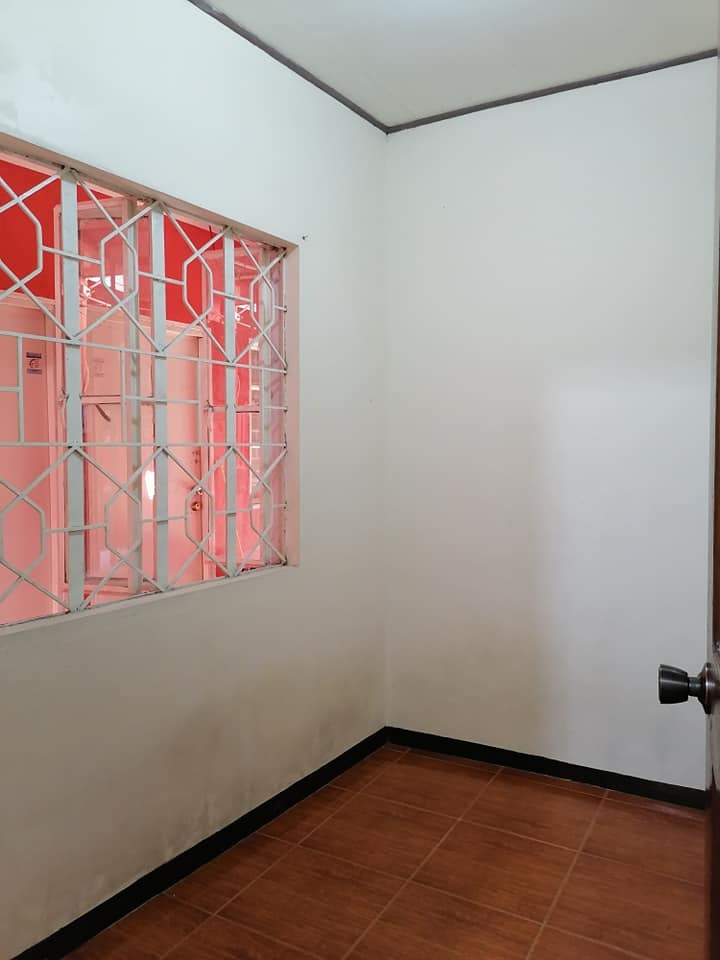 Gallery 5