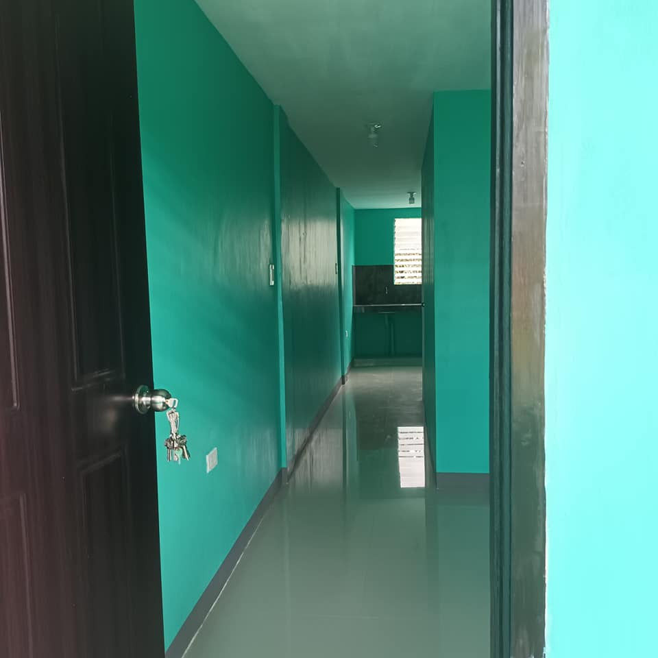 Gallery 4