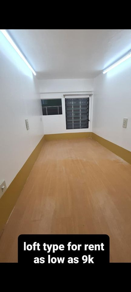 Gallery 4
