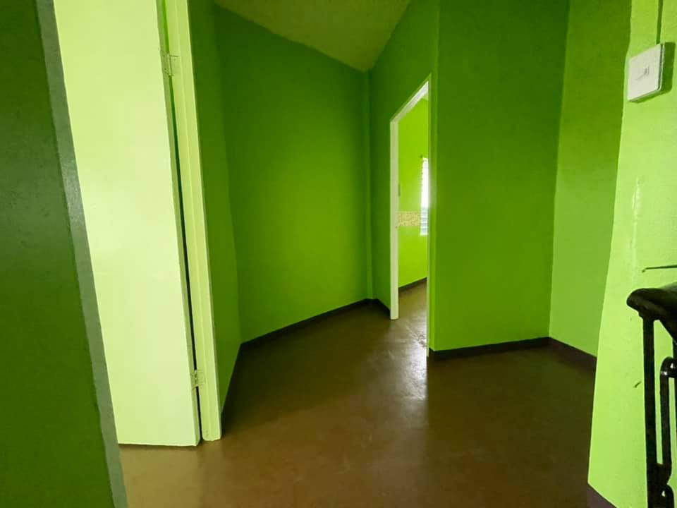 Gallery 5