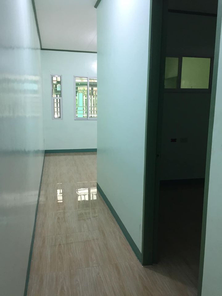 Gallery 5