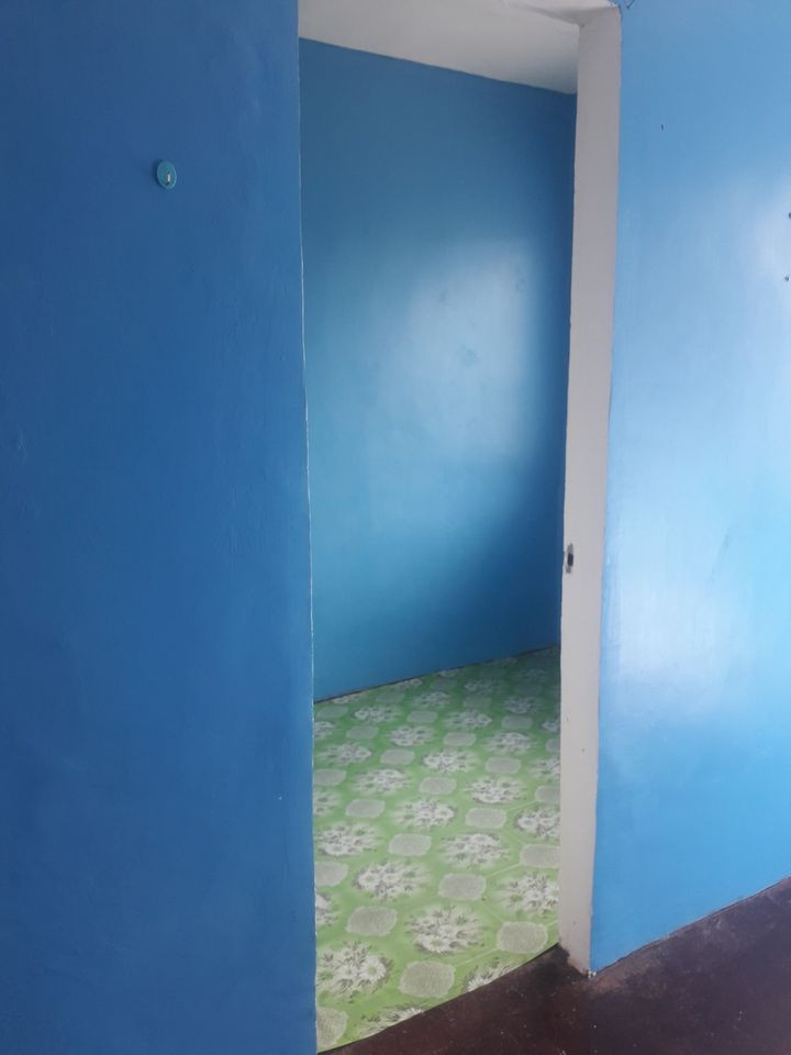 Gallery 5