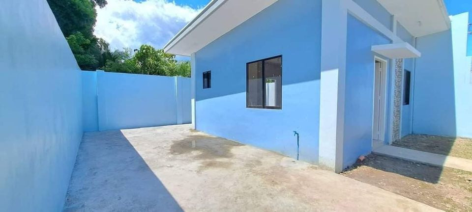 Gallery 3