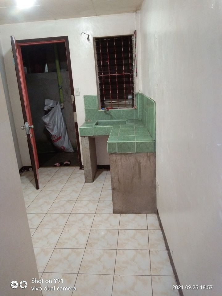 Gallery 4