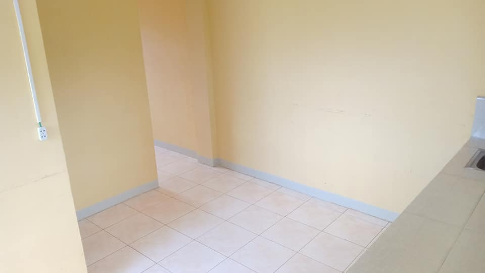 Gallery 3