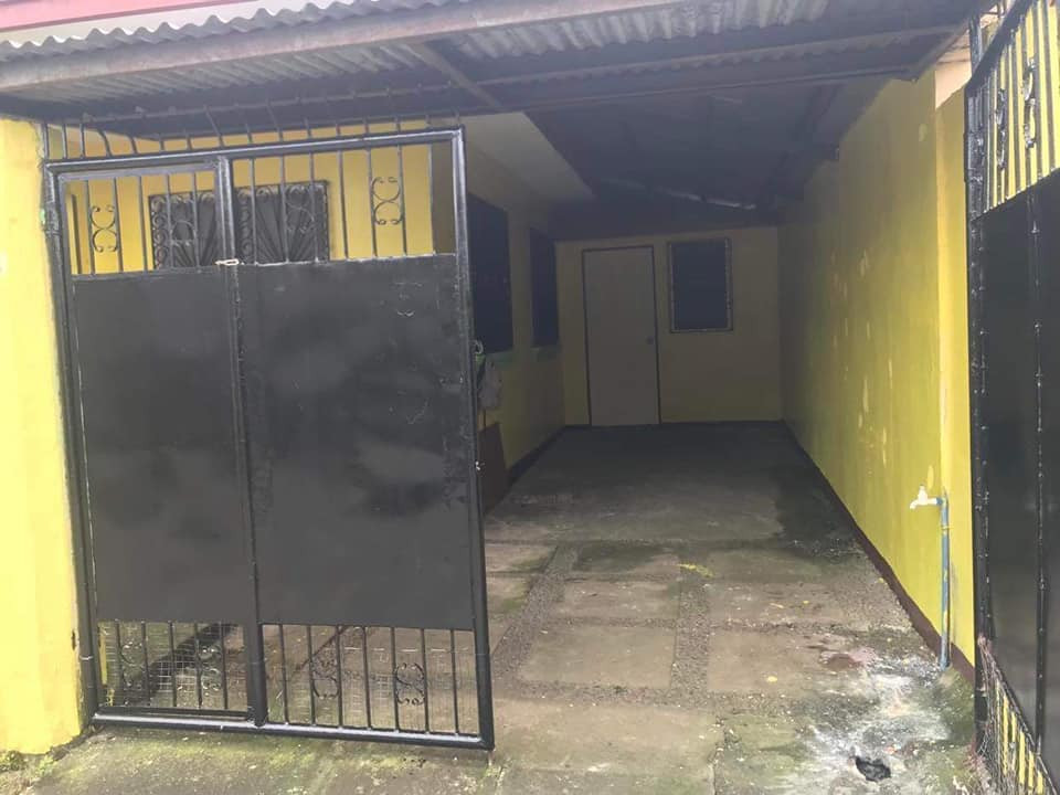 Gallery 5