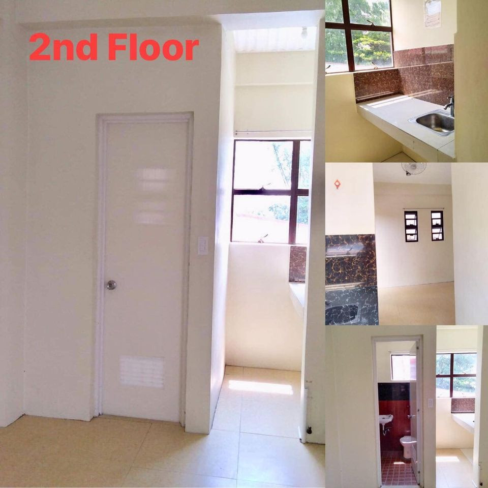 Gallery 5