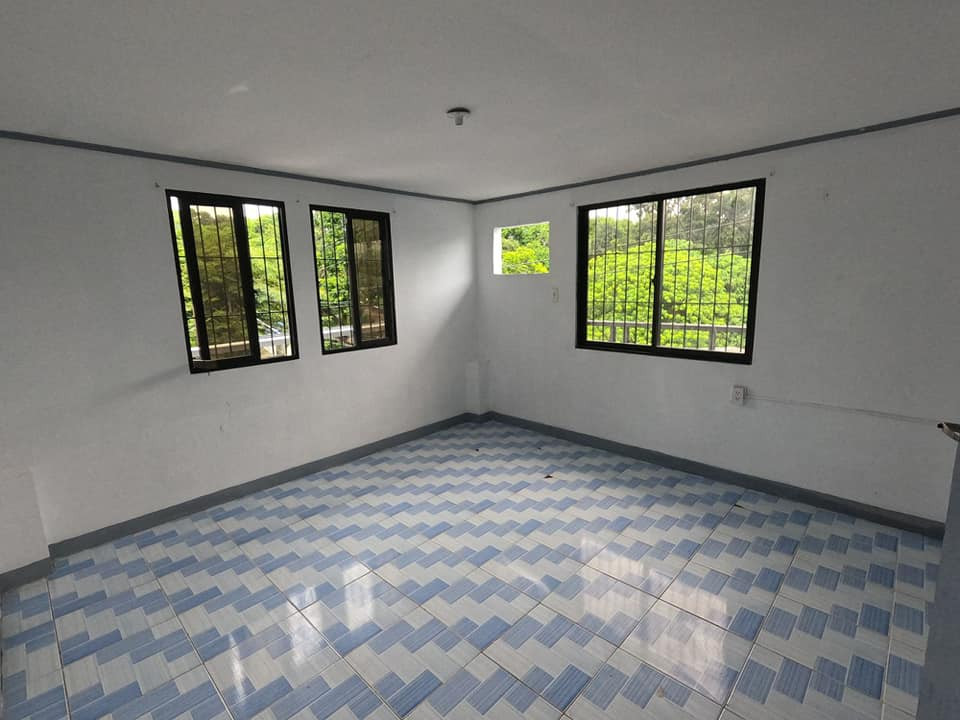 Gallery 3
