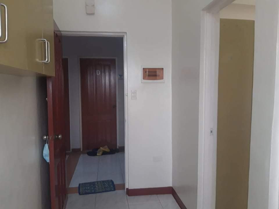 Gallery 5
