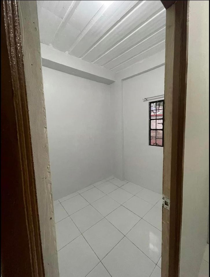 Gallery 5