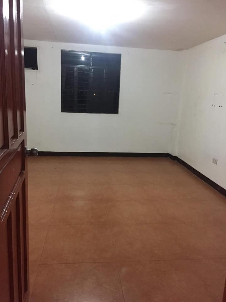 Gallery 5