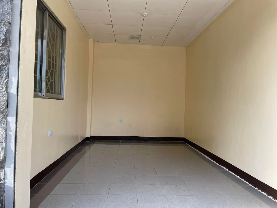 Gallery 5