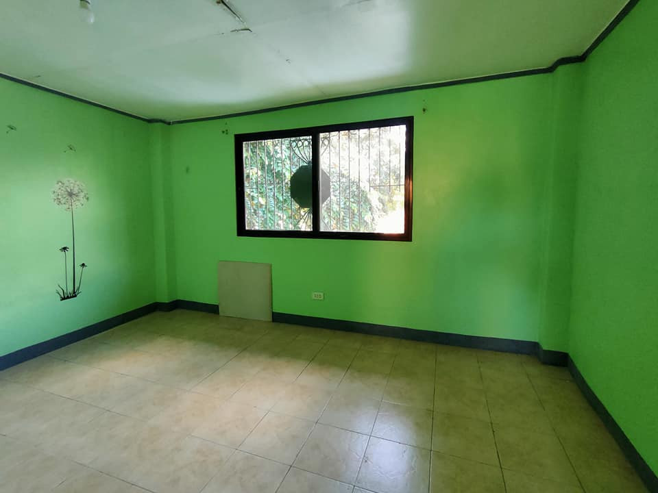 Gallery 3