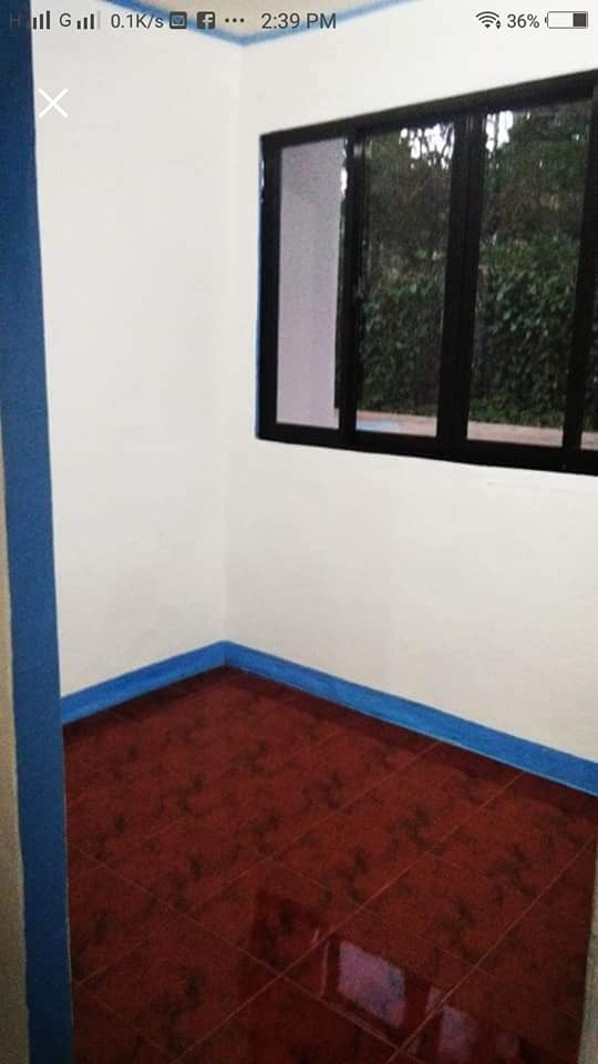 Gallery 5