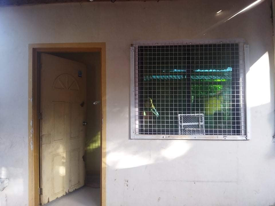 HOUSE FOR RENT