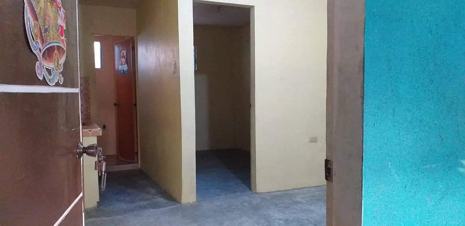 Gallery 5