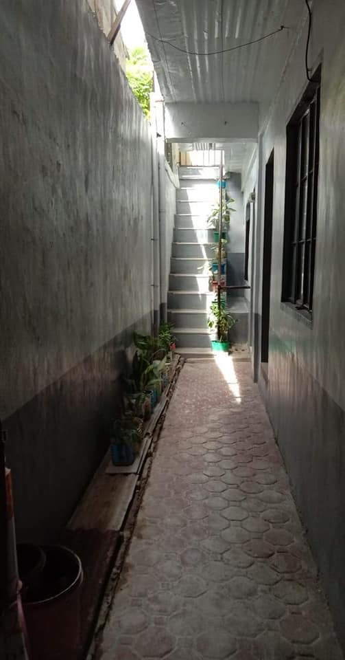 Gallery 4