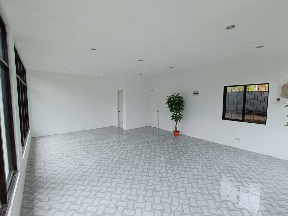 Gallery 4