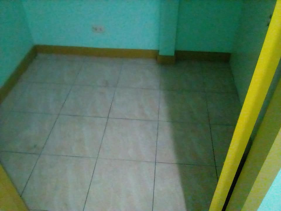 Gallery 5