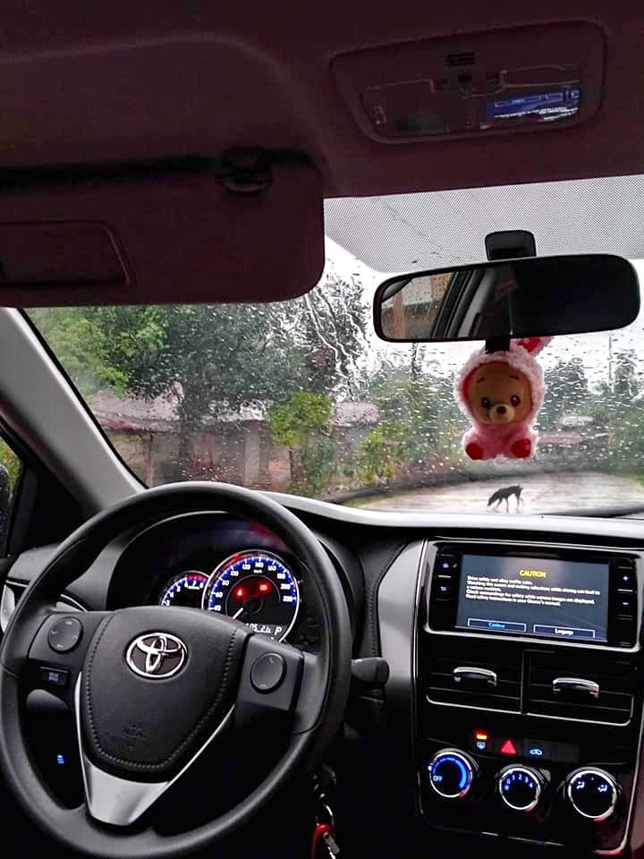 Gallery 5