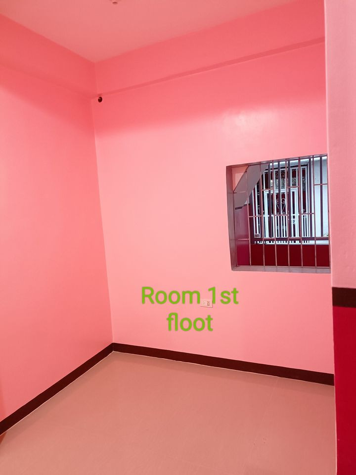 Gallery 5