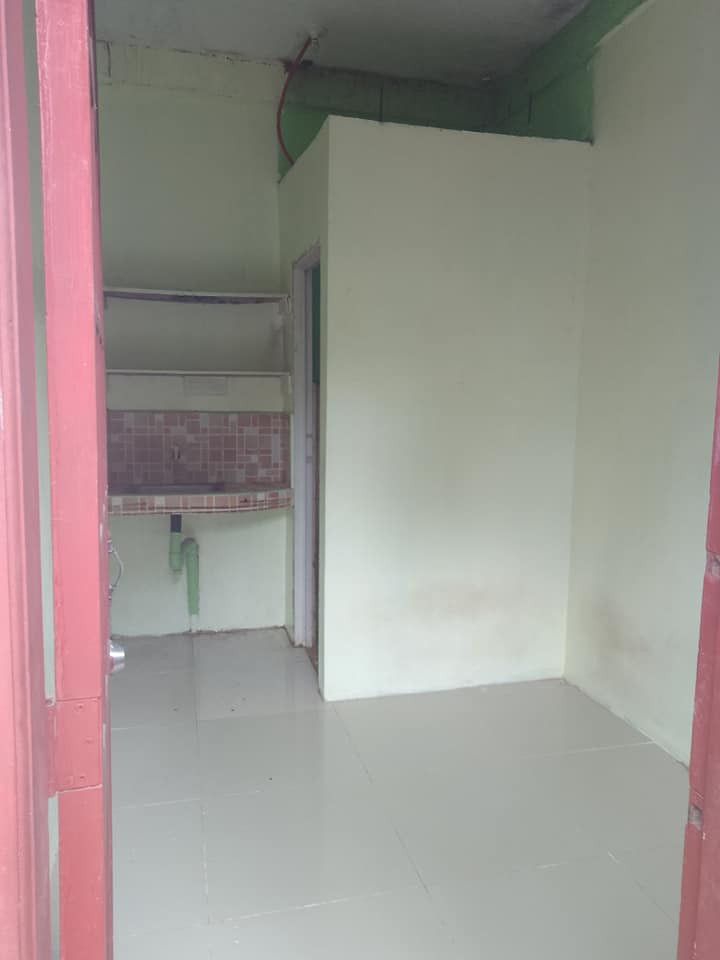 Gallery 4