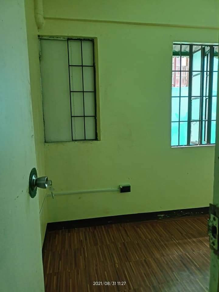 Gallery 3