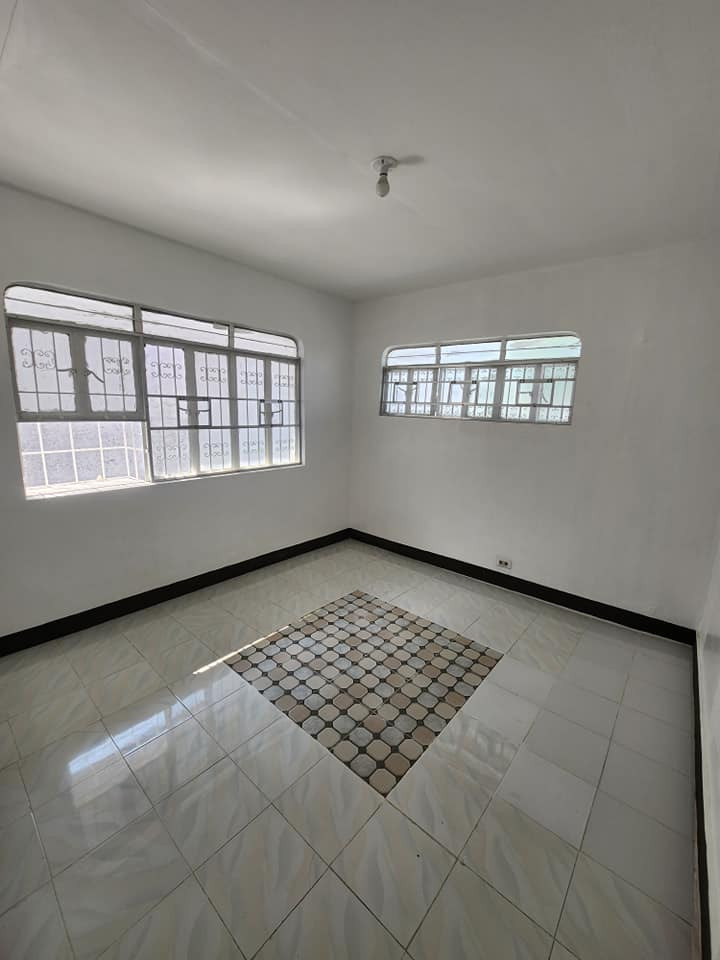 Gallery 4