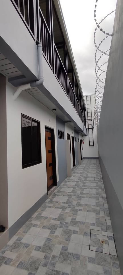 Apartment 1 bedroom