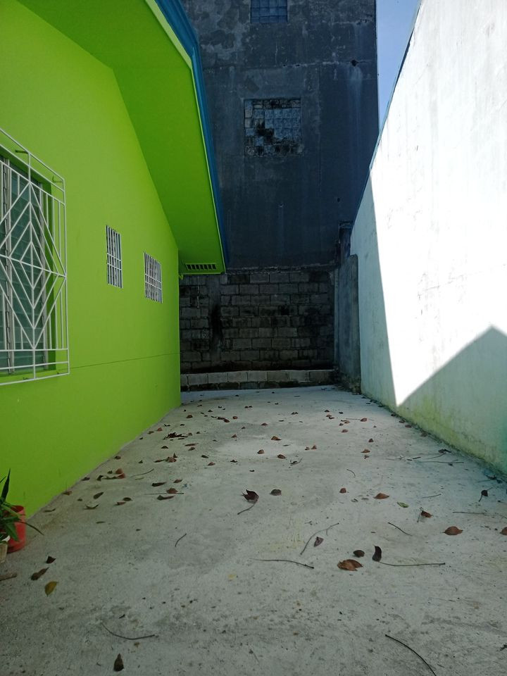 Gallery 2