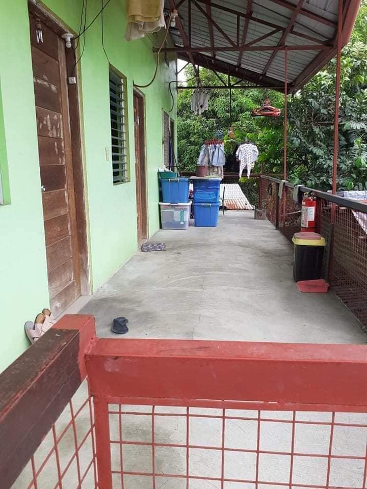 Gallery 4