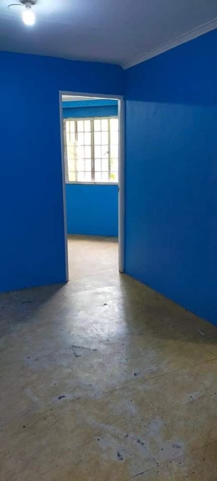 Gallery 3