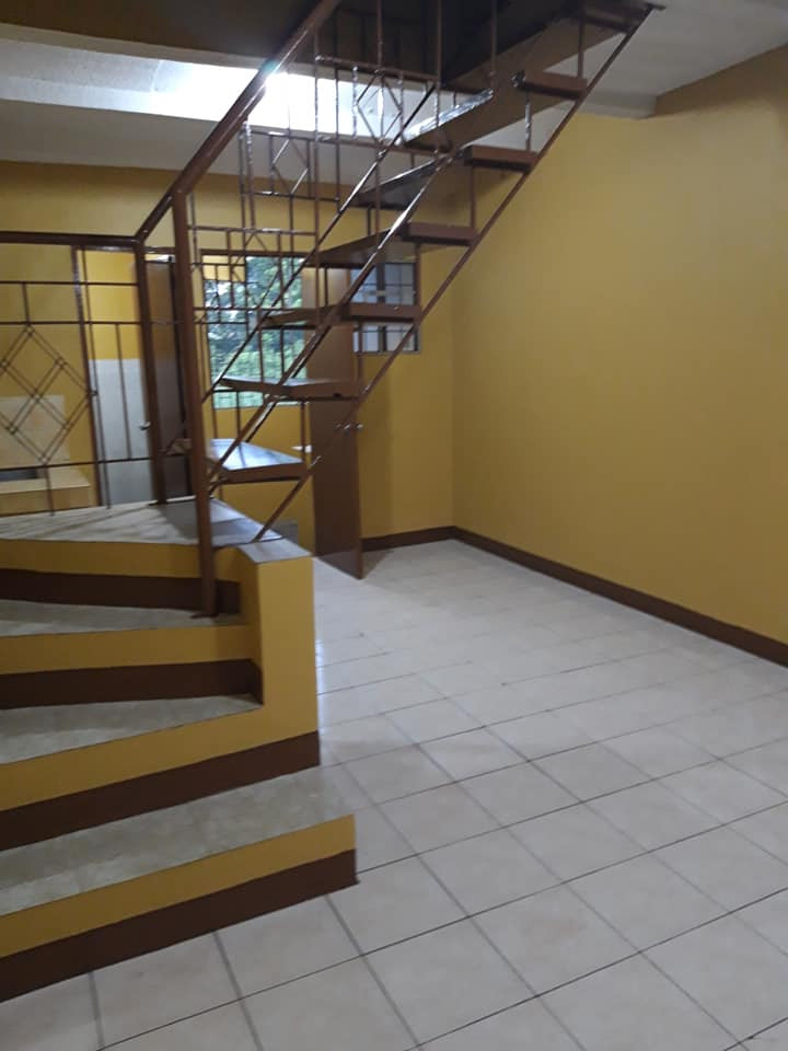Gallery 3