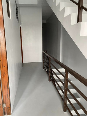 Bed Space and Apartment for Rent