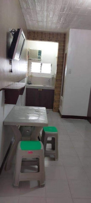 Studio Type Apartment for Rent in 774 Apelo Cruz, Pasay, Metro Manila