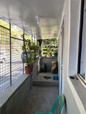 House for rent