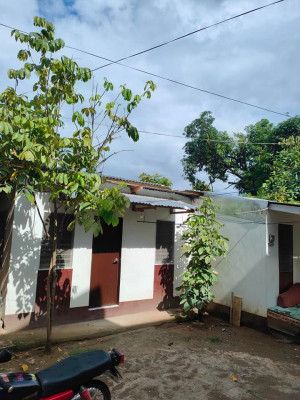 House for Rent