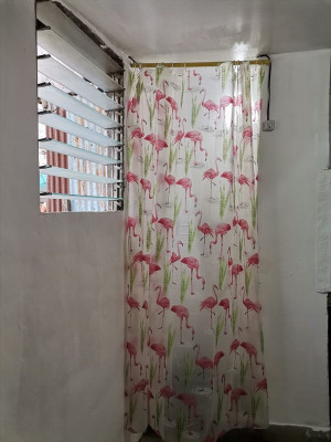 Room for Rent - Subangdaku Mandaue