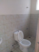 1 Bed 1 Bath Apartment
