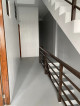 Bed Space and Apartment for Rent
