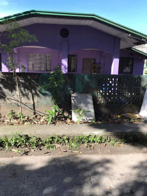 House and lot for sale