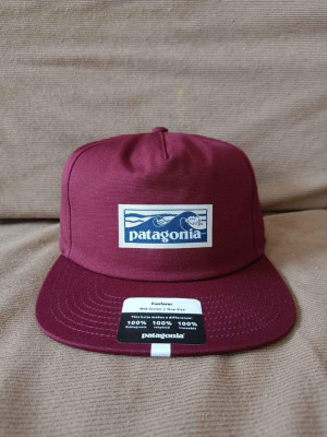 Patagonia Caps